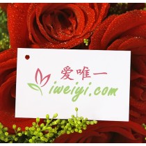 हमेशा आपके साथ रहूँ