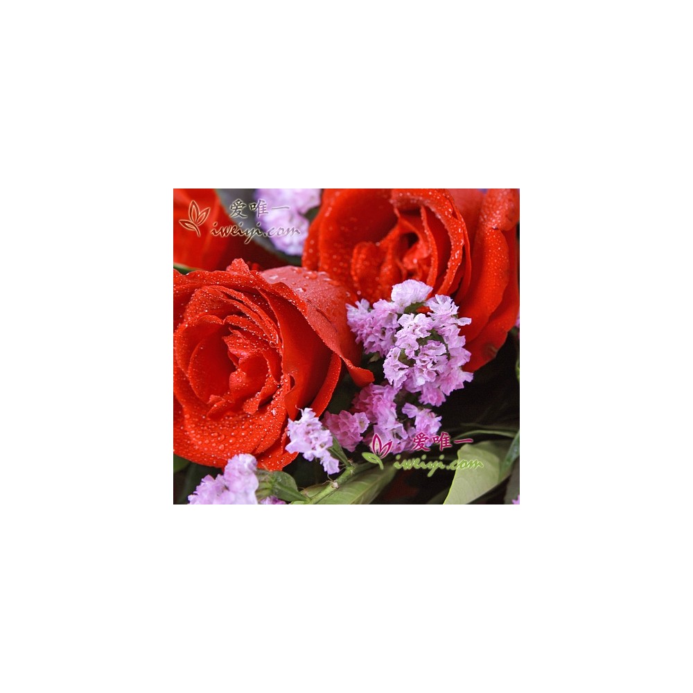 ラブロマンス」の花束