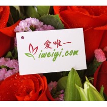 प्रेम रोमांस