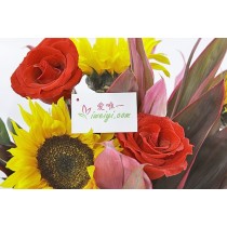 꽃병 « 시각 예술 »