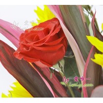 꽃병 « 시각 예술 »