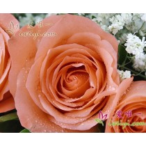 Onde quer que você esteja, sentirei sua falta.