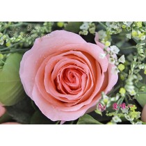 Bem aqui, à espera.