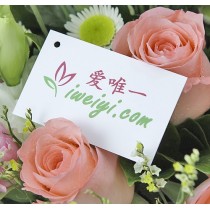 就在這裡等候