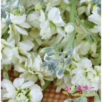 आकांक्षा