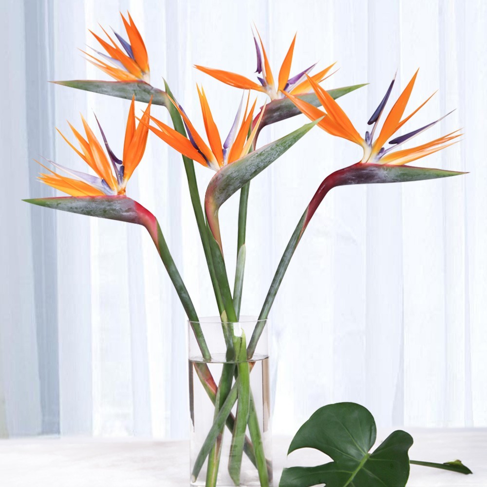 The Vase of Bird of Paradise Flowers The Vase of Bird of Paradise Flowers