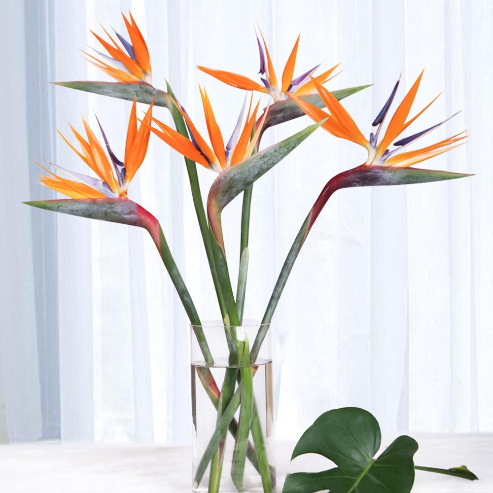 The Vase of Bird of Paradise Flowers