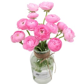 The Vase of Peonies « Most Beautiful »