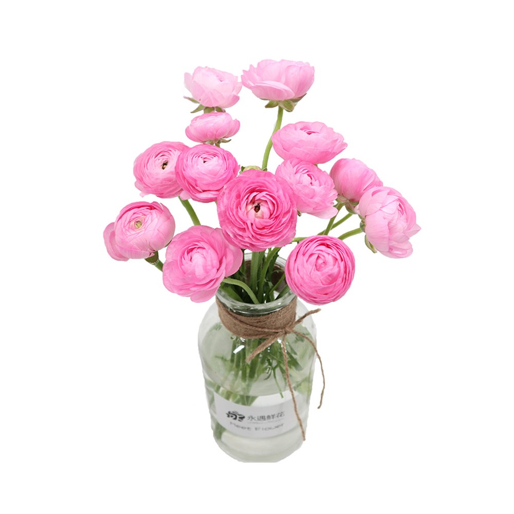 The Vase of Peonies « Most Beautiful »