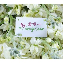 आकांक्षा