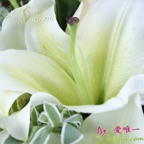 मुझे यह पसंद है