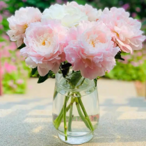 The vase of Peonies «...