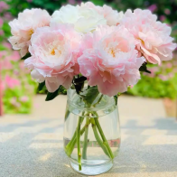 Peonies का फूलदान « सुरुचिपूर्ण और सुंदर »