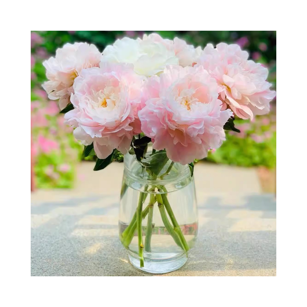 Peonies का फूलदान « सुरुचिपूर्ण और सुंदर »