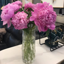 Peonies का फूलदान « सुरुचिपूर्ण और सुंदर »