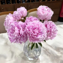 Peonies का फूलदान « सुरुचिपूर्ण और सुंदर »