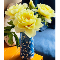 Peonies का फूलदान « सुरुचिपूर्ण और सुंदर »
