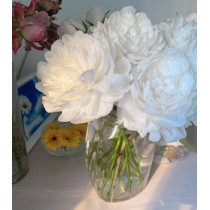 Peonies का फूलदान « सुरुचिपूर्ण और सुंदर »