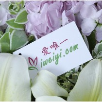 मुझे यह पसंद है