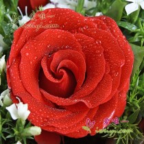 Não quero sentir sua falta.