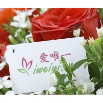 Não quero sentir sua falta.