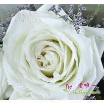 Vou te amar por toda a minha vida.