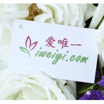 Vou te amar por toda a minha vida.