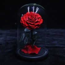 Rosa roja individual preservada en una caja de vidrio con cúpula