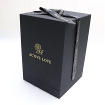 Rosa vermelha única preservada em uma caixa com cúpula de vidro