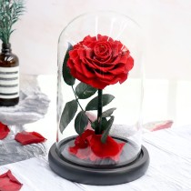 Rose rouge préservée dans une boîte à dôme en verre