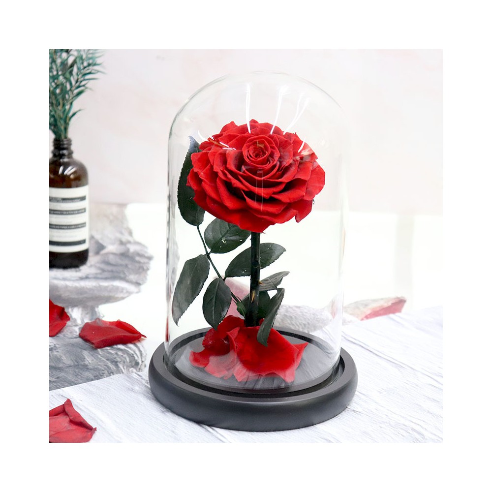 玻璃圓頂盒中保存的單朵紅玫瑰