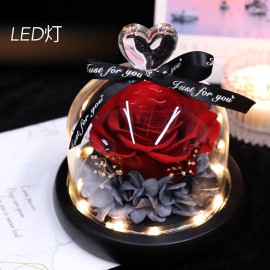 Preserved Red Rose and Hydrangea in a Glass Dome Box with LED Light