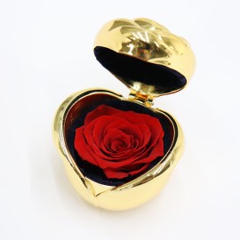 Konservierte rote Rose in einer goldfarbenen Schmuckschatulle