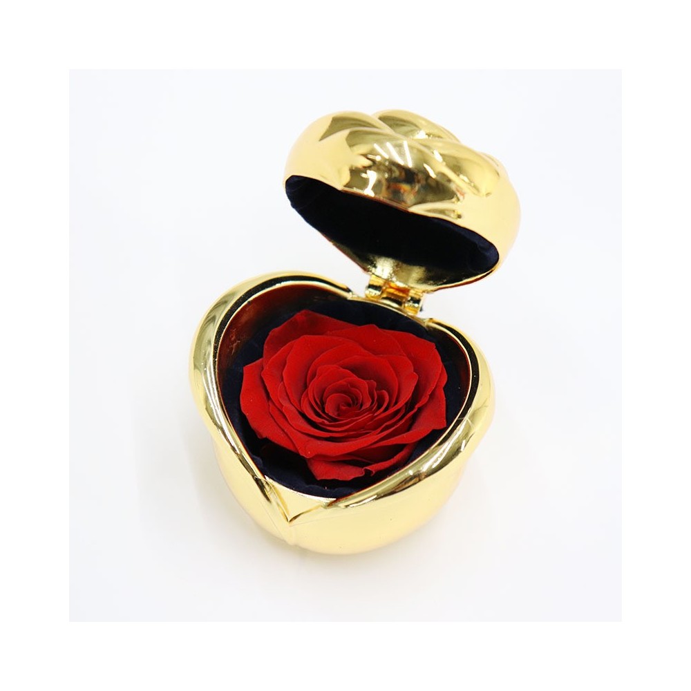 Preserved Red Rose in a Golden Color Jewelry Box Preserved Red Rose in a Golden Color Jewelry Box
