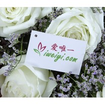 溫馨的愛情