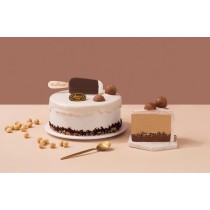 [Ganso Shop] 맥시멈 초콜릿 아이스크림 생일 케이크