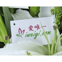 मेरे सबसे अच्छा प्यार