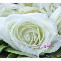 आपको पाकर खुशी हुई