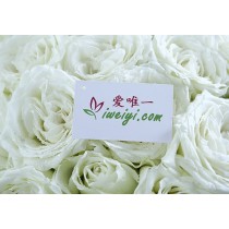 花束《愛與你同在》