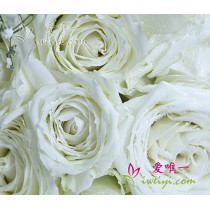 Adoraria estar com você.