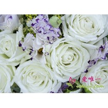 आपकी याद आ रही है