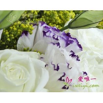 आपकी याद आ रही है