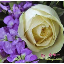 Te amo a cada segundo