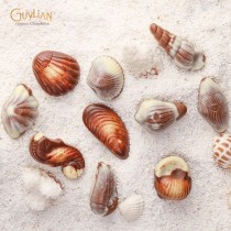 가일리안 프리미엄 벨기에 초콜릿 오리지널 조개껍질