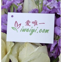 Te amo a cada segundo