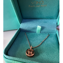 वाना मेमोरी महिलाओं का नेकलेस पेंडेंट प्रोजेक्शन के साथ: आई लव यू कहने के 100 तरीके