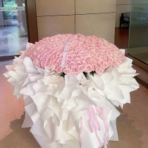 O Buquê de 520 Rosas Cor-de-Rosa «Flor do Amor Eterno»