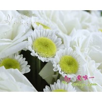 Floco de neve giratório