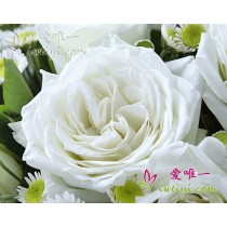 Floco de neve giratório