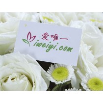 घूमता हुआ हिमकण